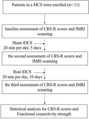 Efficacy of Transcranial Direct Current Stimulation Over Dorsolateral Prefrontal Cortex in Patients With Minimally Conscious State